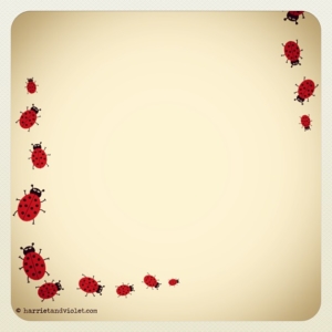 Ladybirds – Coming Soon!