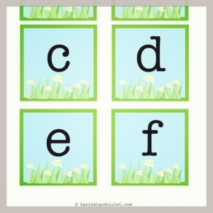 Daisy instant display lettering