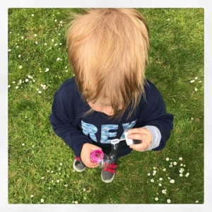 The end of my pretend half term. Hope this week is a happier one for all .