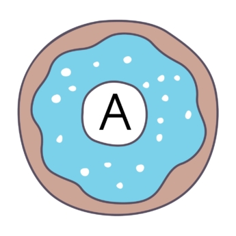 doughnuts display lettering for the classroom alphabet a-z