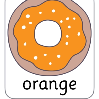 donut colour charts for the classroom primary school