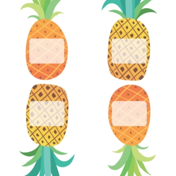 pineapple labels and signs