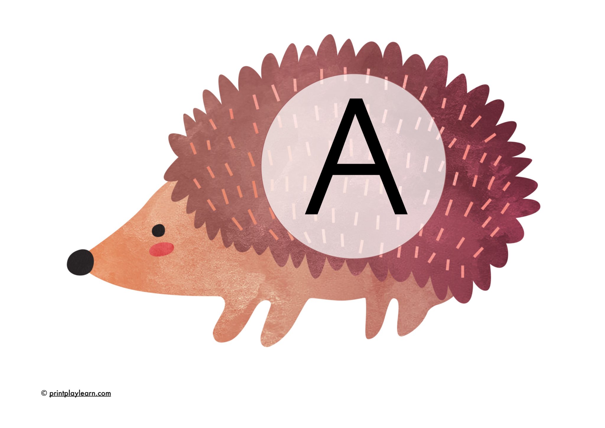 Hedgehog Instant Display Lettering - Printable Teaching Resources ...