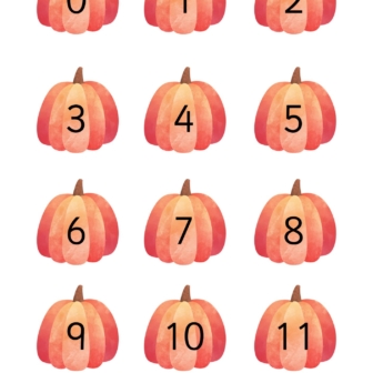 pumpkins with numbers on 0-35 early years eyfs