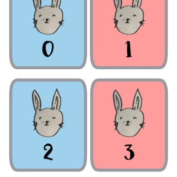 rabbit flashcards 0-30