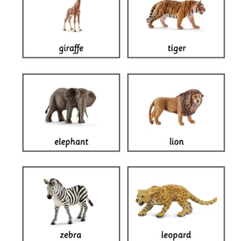 grey grid with images of toy animals and word written underneath montessori classification cards