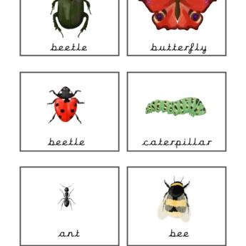 montessori classification cards insects from printplaylearn