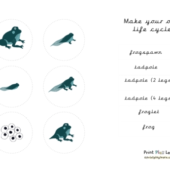 make your own life cycle of a frog printplaylearn