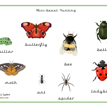 printplaylearn word mat of insect drawing for identification