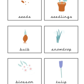 signs of spring flashcards 6 squares with images and text printplaylearn