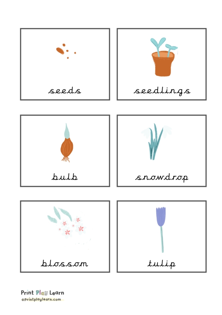 signs of spring flashcards 6 squares with images and text printplaylearn