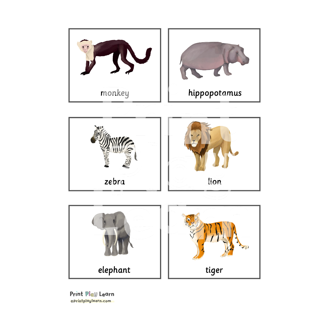 Animal Classification Cards - Printable Teaching Resources - Print Play  Learn