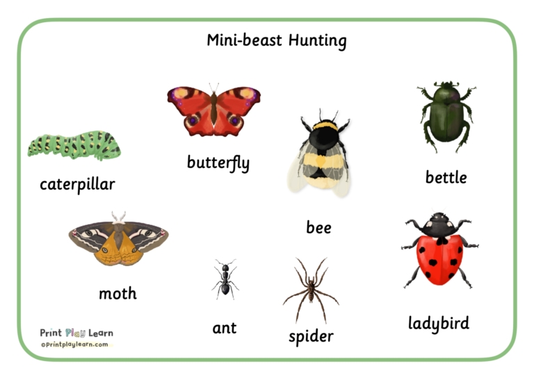 Mini-beast word mat montessori font - Printable Teaching Resources ...