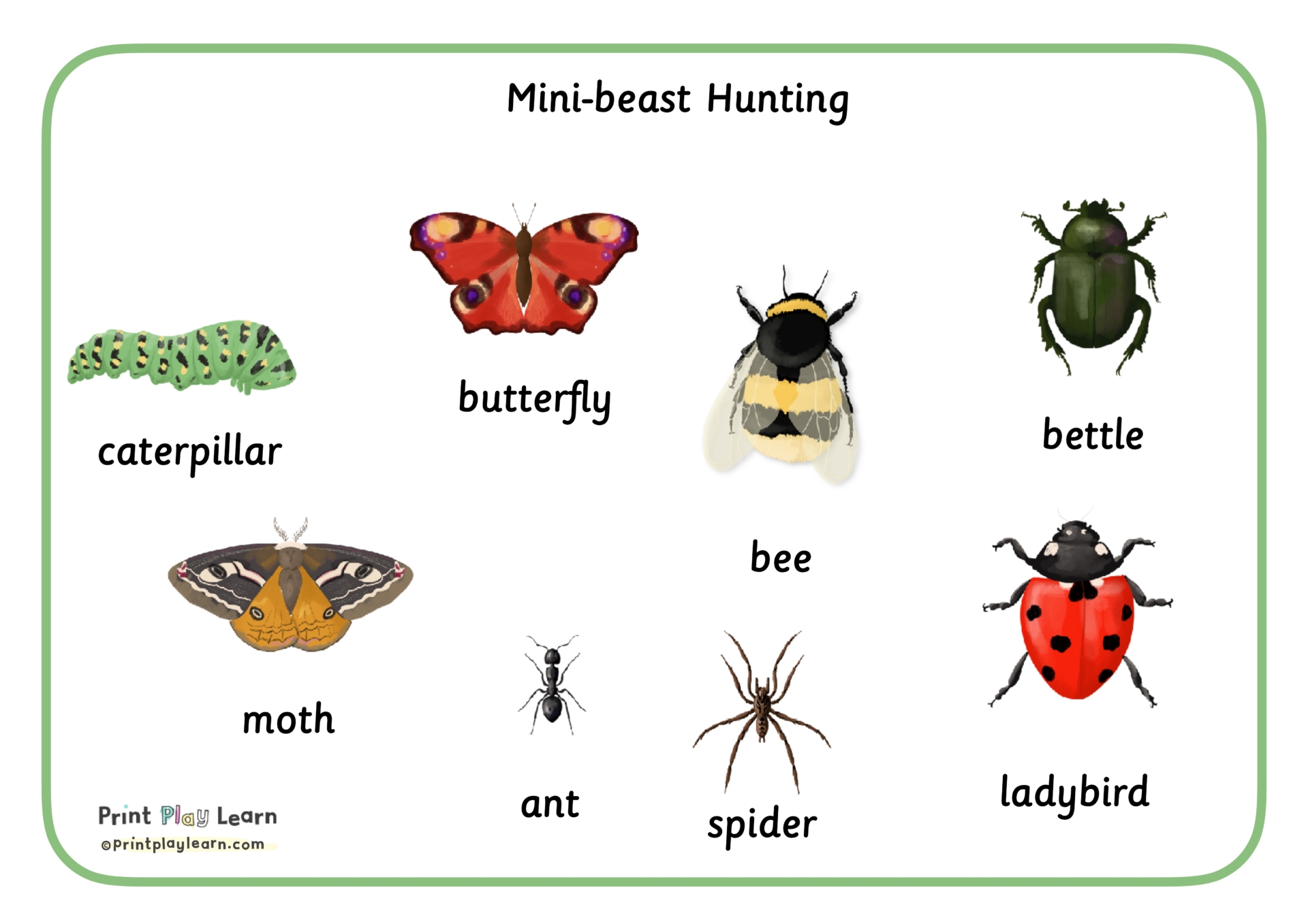 Mini-beast word mat montessori font - Printable Teaching Resources