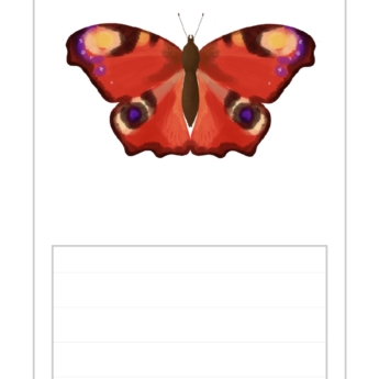 print play learn butterfly drawing with lines to write about the insects