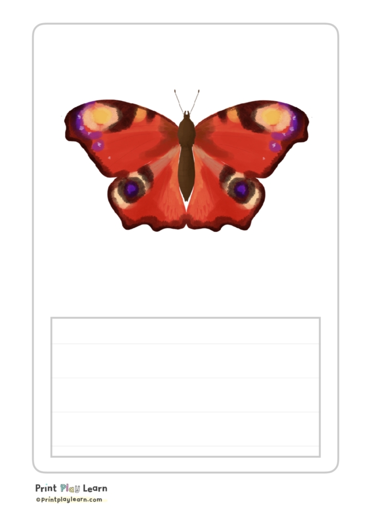 print play learn butterfly drawing with lines to write about the insects