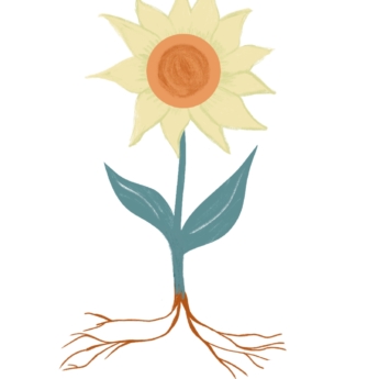 drawing of a sunflower petal leaf root stem printplaylearn