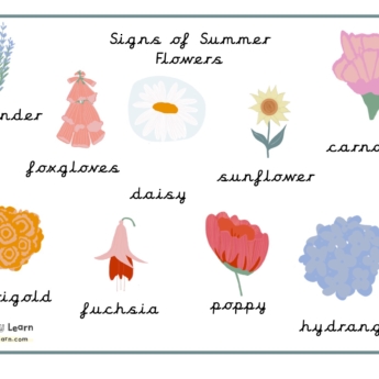 summer flowers printplaylearn