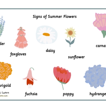 Montessori font images for summer flowers printplaylearn