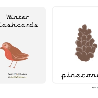 Winter flashcards printplaylearn drawing of a robin and pinecone