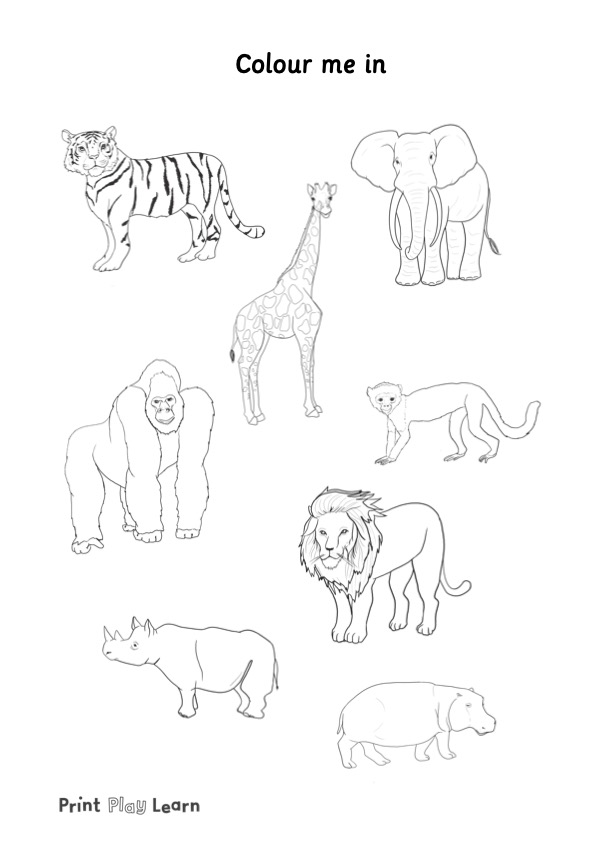 Animal Colouring - Printable Teaching Resources - Print Play Learn