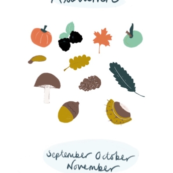 autumnal images drawn by founder michelle poulson for print play learn autumn september october november