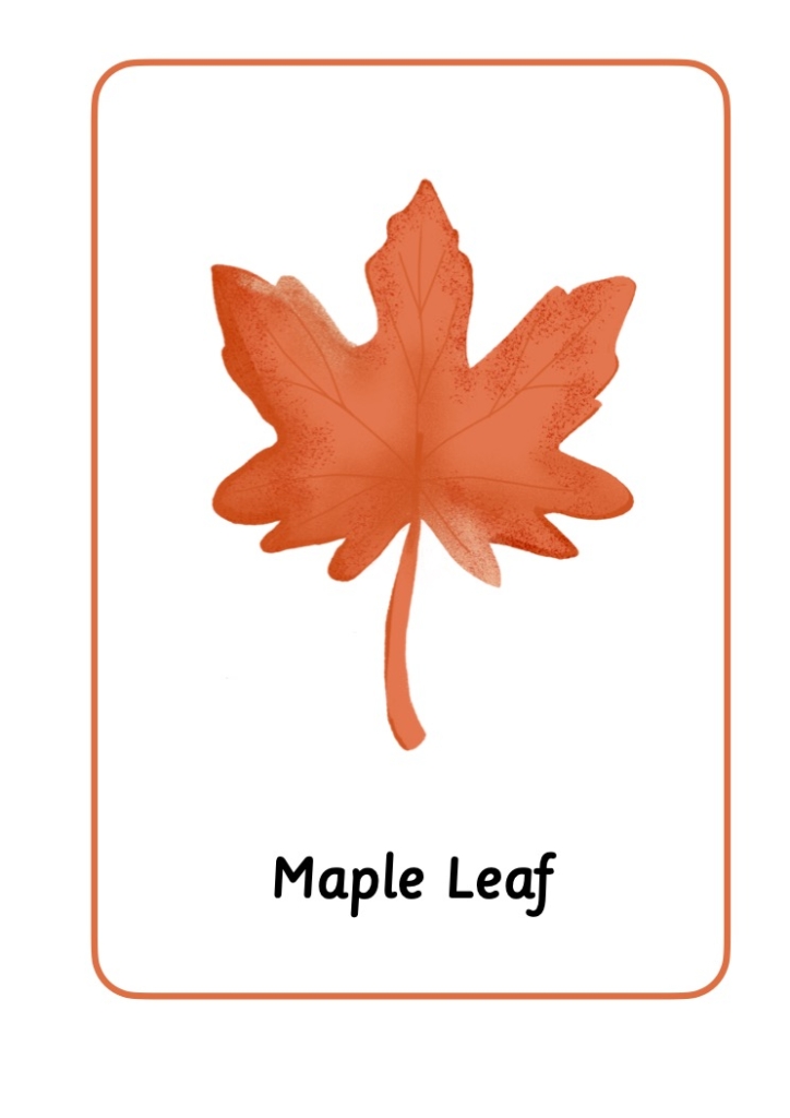 maple orange leaf with writing underneath