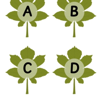 A B C D green leaf lettering