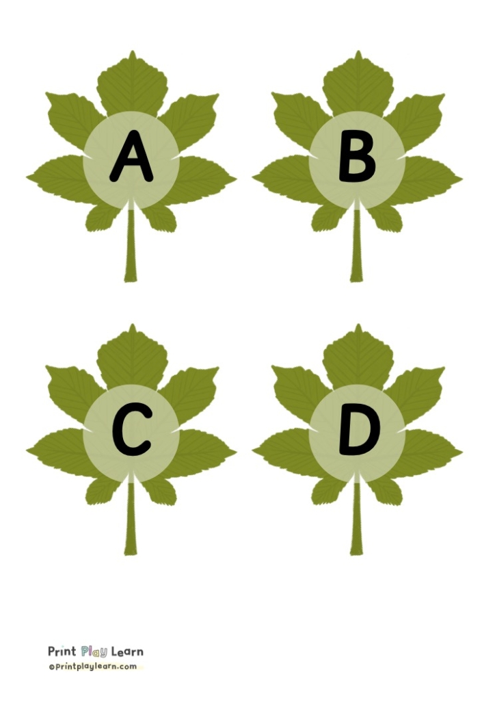 A B C D green leaf lettering