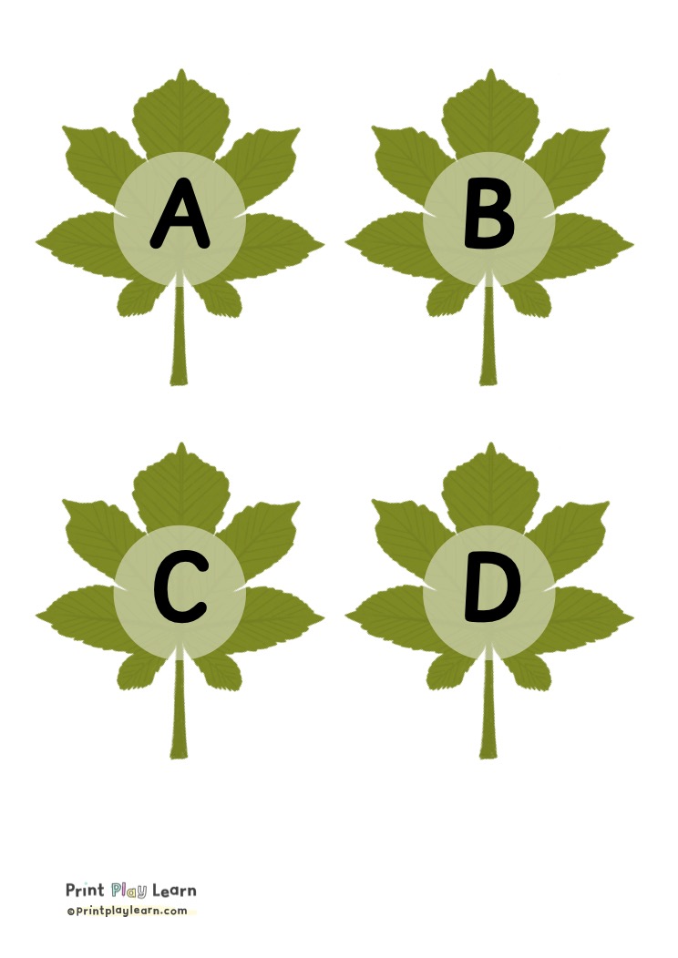 Leaf Display Lettering for the Classroom Printable Teaching Resources