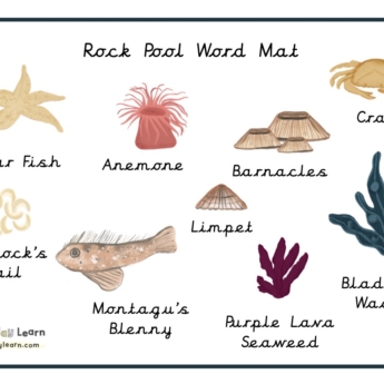 word mat for children rock pool cursive font illustration images and text