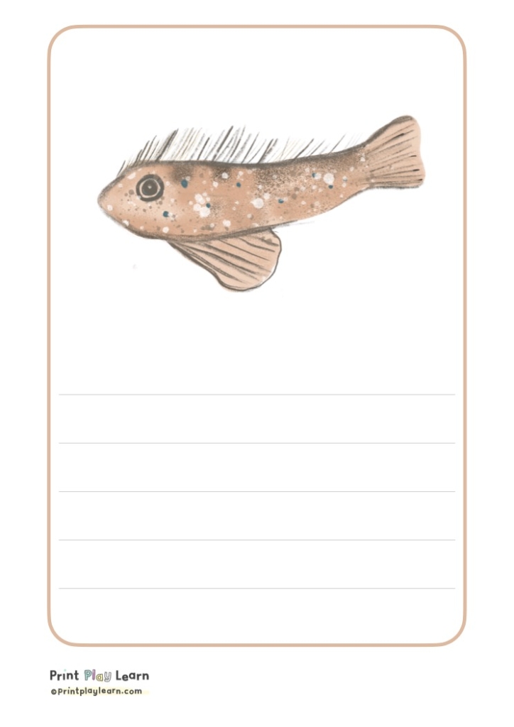 Montague Blenny fish with writing lines for children to describe rock pool
