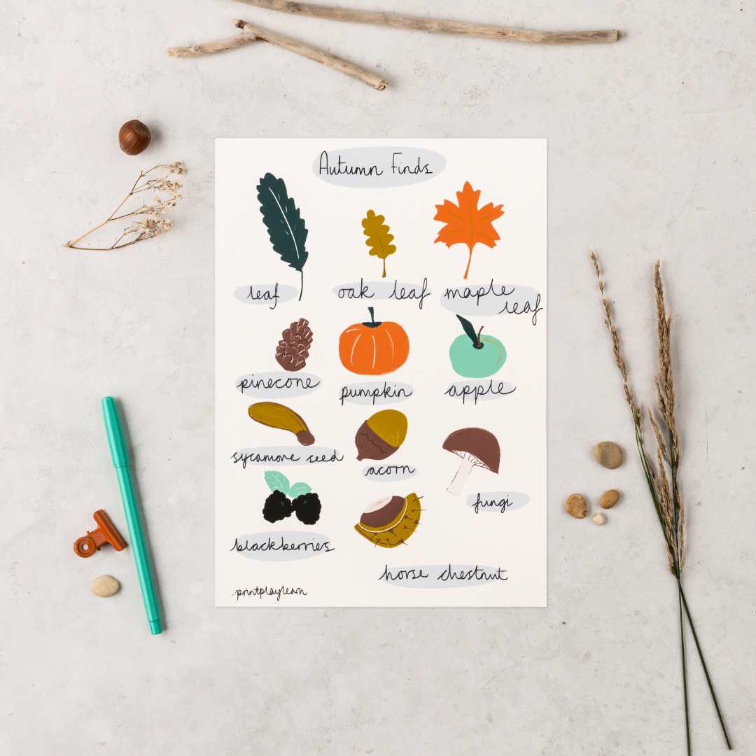 Autumn Finds Identification Poster - Print Play Learn