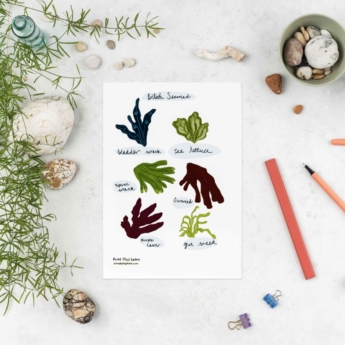 seaweed poster for children print play learn