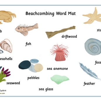 beach combing i spy word mat